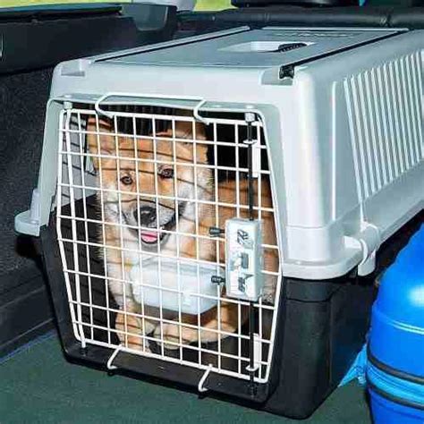 caixa transporte cachorro 20 kg